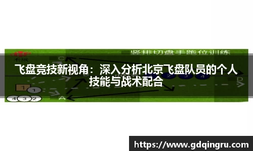 飞盘竞技新视角：深入分析北京飞盘队员的个人技能与战术配合